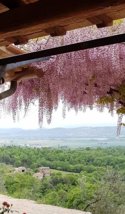 Vesper - Casale Con Piscina - Ad Galli Cantum Citta della Pieve Bagian luar foto