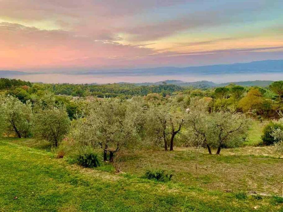 Vesper - Casale Con Piscina - Ad Galli Cantum Citta della Pieve Bagian luar foto