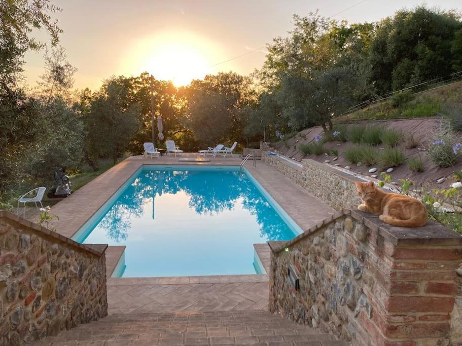 Vesper - Casale Con Piscina - Ad Galli Cantum Citta della Pieve Bagian luar foto