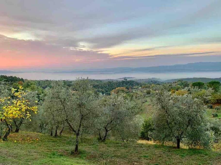 Vesper - Casale Con Piscina - Ad Galli Cantum Citta della Pieve Bagian luar foto