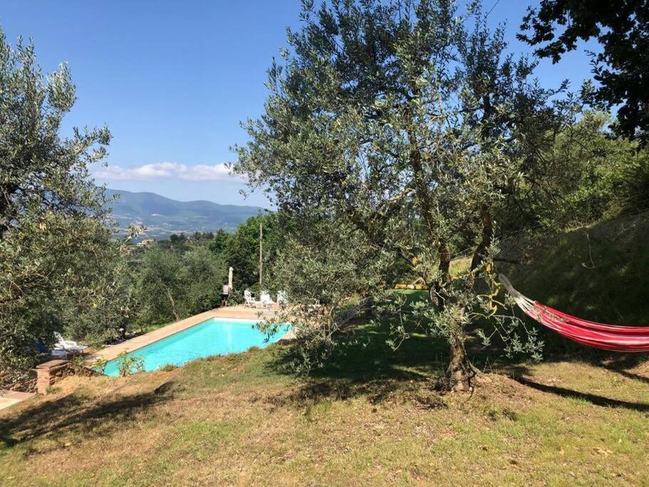Vesper - Casale Con Piscina - Ad Galli Cantum Citta della Pieve Bagian luar foto